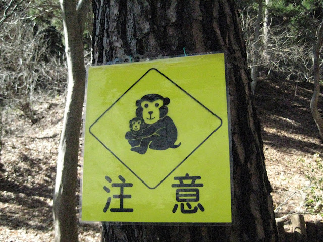 it's a picture of a monkey caution sign