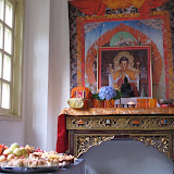 IMG_1755.jpg