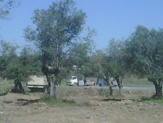 [IMG00039-20110318-1100[2].jpg]