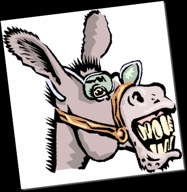 donkey_20mirroe donkey_20mirroe