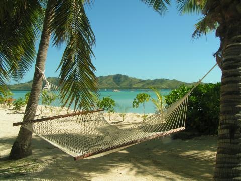 [hammock[4].jpg]