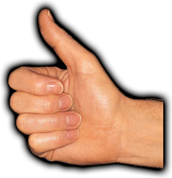 [Thumbs up[5].png]