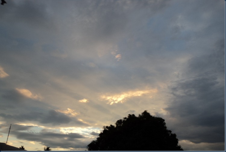 DSC00359 DSC00359