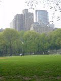 200305061632CentralPark.JPG