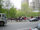 200305051423.JPG