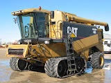 CatLexion465.jpg