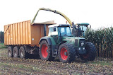 900_silage2.jpg