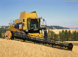 CatLexion480_Leveler_1.jpg