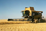 claas465_1.jpg