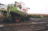 claas480_4.jpg
