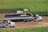 ClaasJaguar_Trucks1.jpg