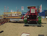 claas_rotania_1929_1.jpg