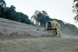 3wheeler_newholland3.jpg