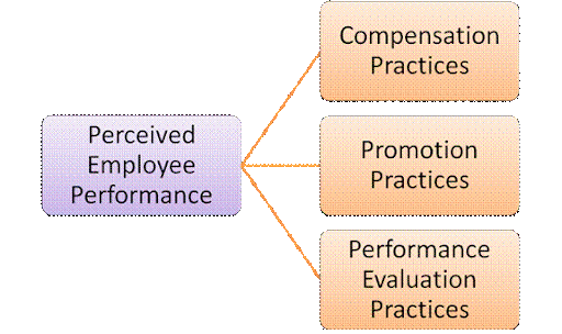 Hr Practices