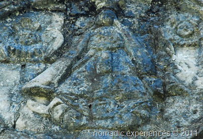 DSC_2548 DSC_2548