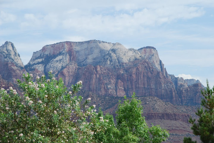 DSC_0012.JPG
