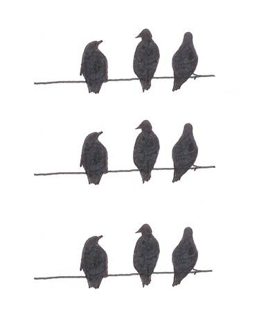[Birds3[2].jpg]