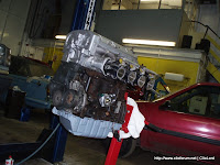 P1010136.jpg