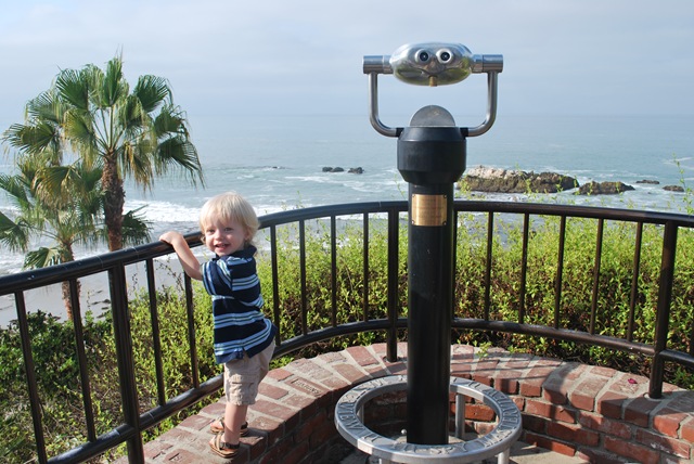 [DSC_0603[3].jpg]