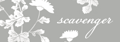 [scavenger-tag[4].png]