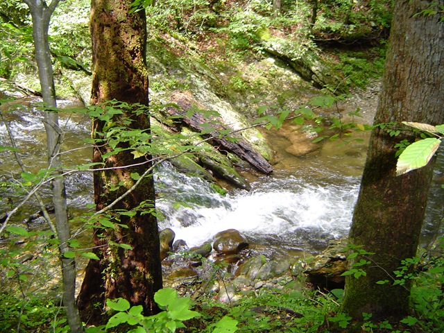 [DSC03102[2].jpg]