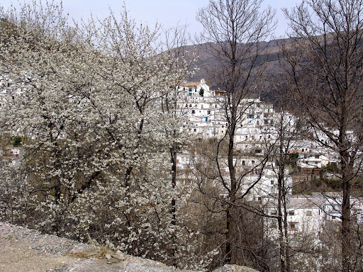 029%20GRANADA%20Las%20Alpujarras.JPG