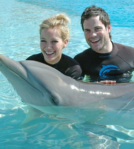 http://lh3.ggpht.com/_NeNaQCQaOU0/SX6AhPI8npI/AAAAAAAAY1U/rn12qzUjVOk/hilary-duff-dolphins%5B5%5D.jpg
