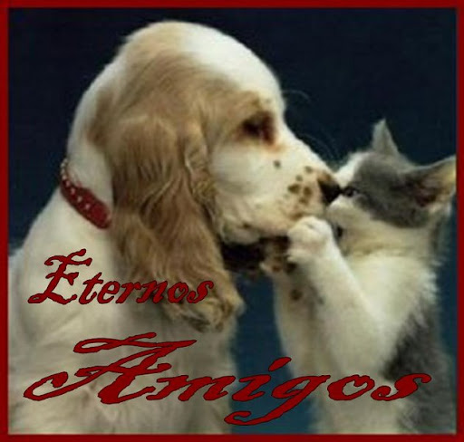 http://lh3.ggpht.com/_NePEUlbqZ30/RuMlUB-H-MI/AAAAAAAAAKc/V4MDaQI7Ow4/Amigos+para+Sempre.jpg