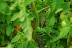 RST_5994.jpg