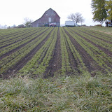 DSCN0003.JPG