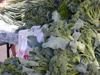 DSCN0006.JPG