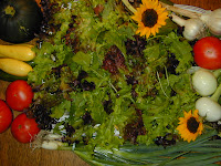 DSCN0280.JPG