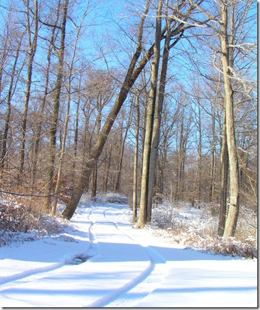 sno