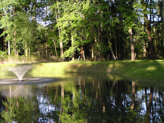 [Pond Fountain[3].jpg]