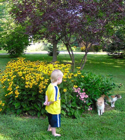 [The Munchkin by the flowers[4].jpg]