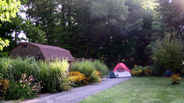 [Our Back Yard[3].jpg]