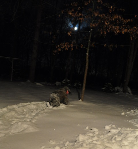 [Snow Writing[6].jpg]