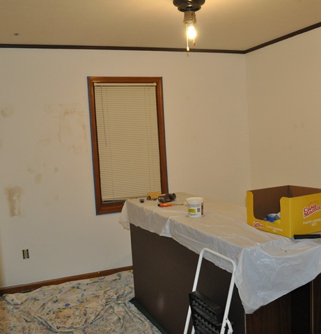 [ready to paint[5].jpg]