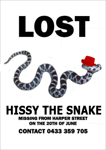 missing_hissy7.jpg