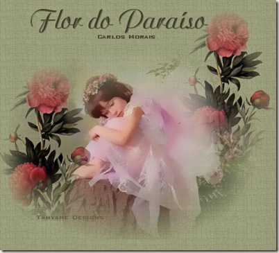 flordoparaiso_3