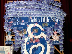 Light a Little Star 2009
