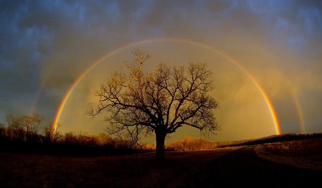 [DoubleRainbowphotobyDanBush20063.jpg]