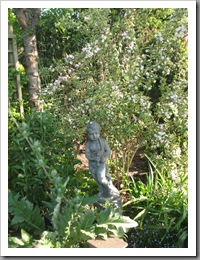 IMG_8052 IMG_8052
