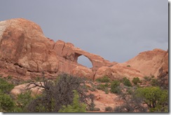 DSCN1373