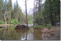 DSCN0696