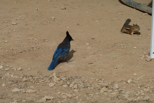 [P10006462.jpg]