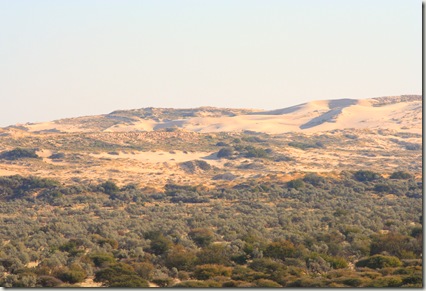 View from viewpoint of Roaring Dunes of Witsand Kalahari View from viewpoint of Roaring Dunes of Witsand Kalahari