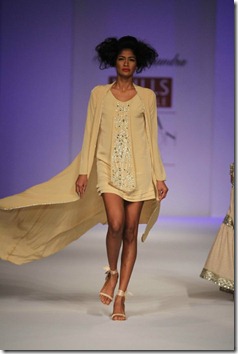 WIFW SS 2011 collection by Preeti Chandra's Show   (18)