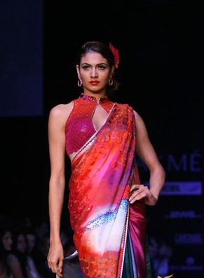 Day5 at LFS summer-resort 2011 by Satya Paul (11)