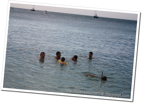 IMG_2525 IMG_2525